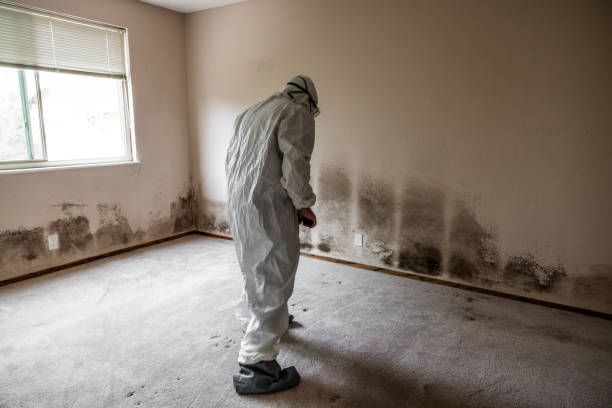Best Mold Testing  in Lebanon, NH